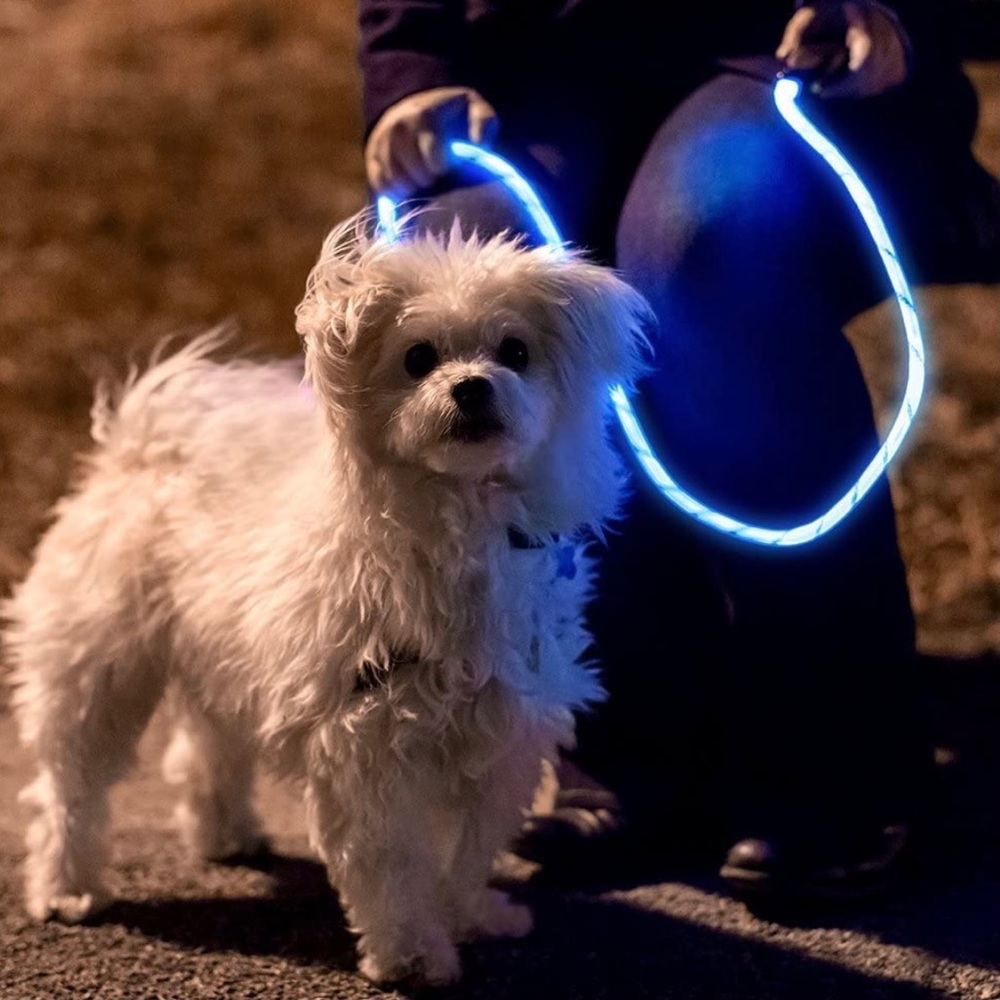 NiteyLeash LED Glow In The Dark Pet Dog Leash - Picture 6 of 8